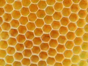 Vital Honey