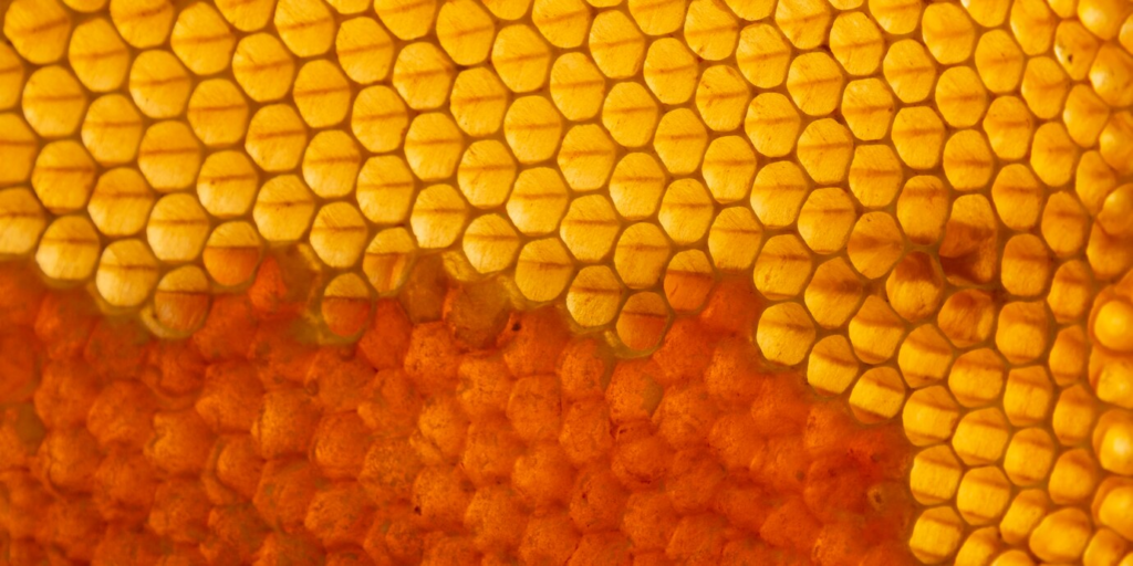 Vital Honey